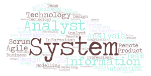 System Analyst Vs IT Professionals