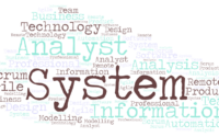 System Analyst Vs IT Professionals