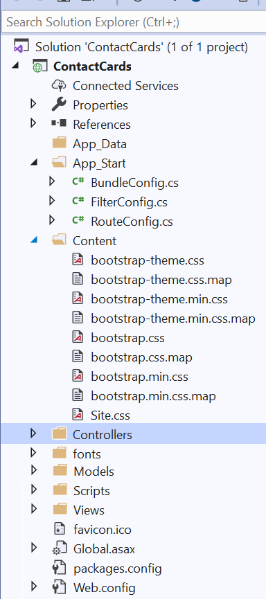 .NET Framework 4.x folder structure