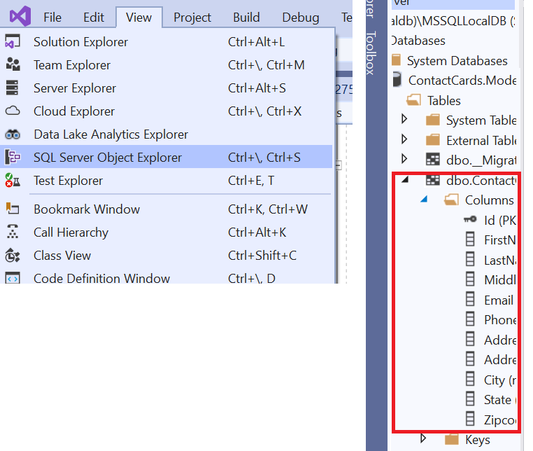 Local SQL Server View